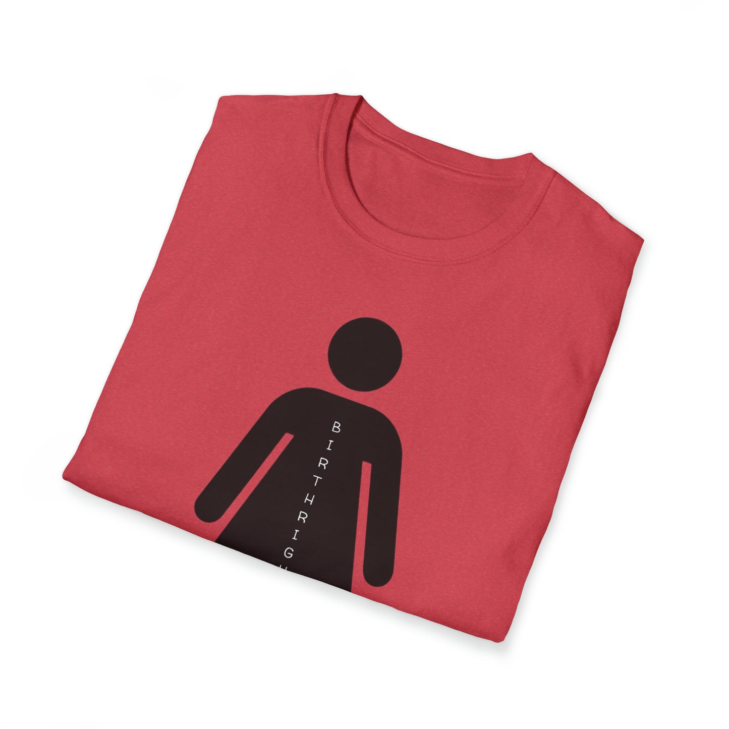 Womanhood is a Birthright/Unisex Softstyle T-Shirt
