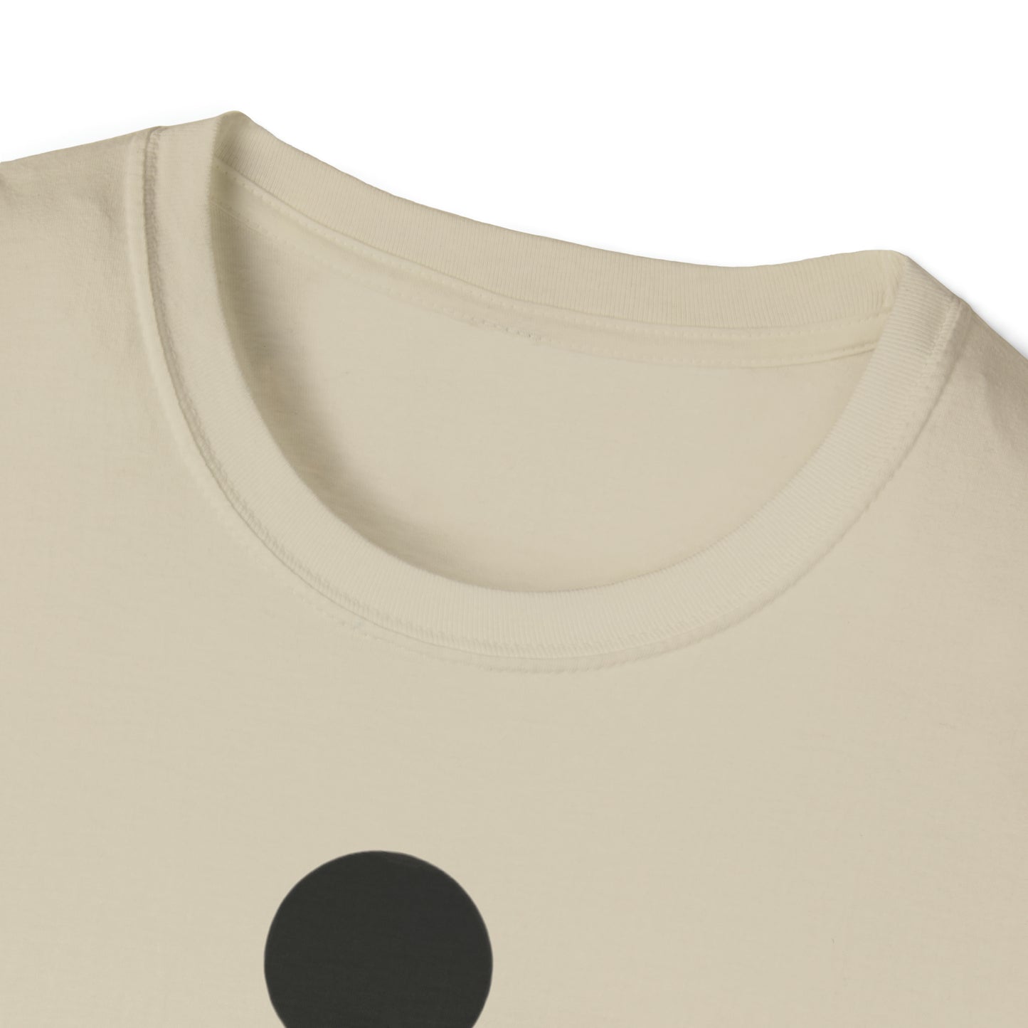 Womanhood is a Birthright/Unisex Softstyle T-Shirt