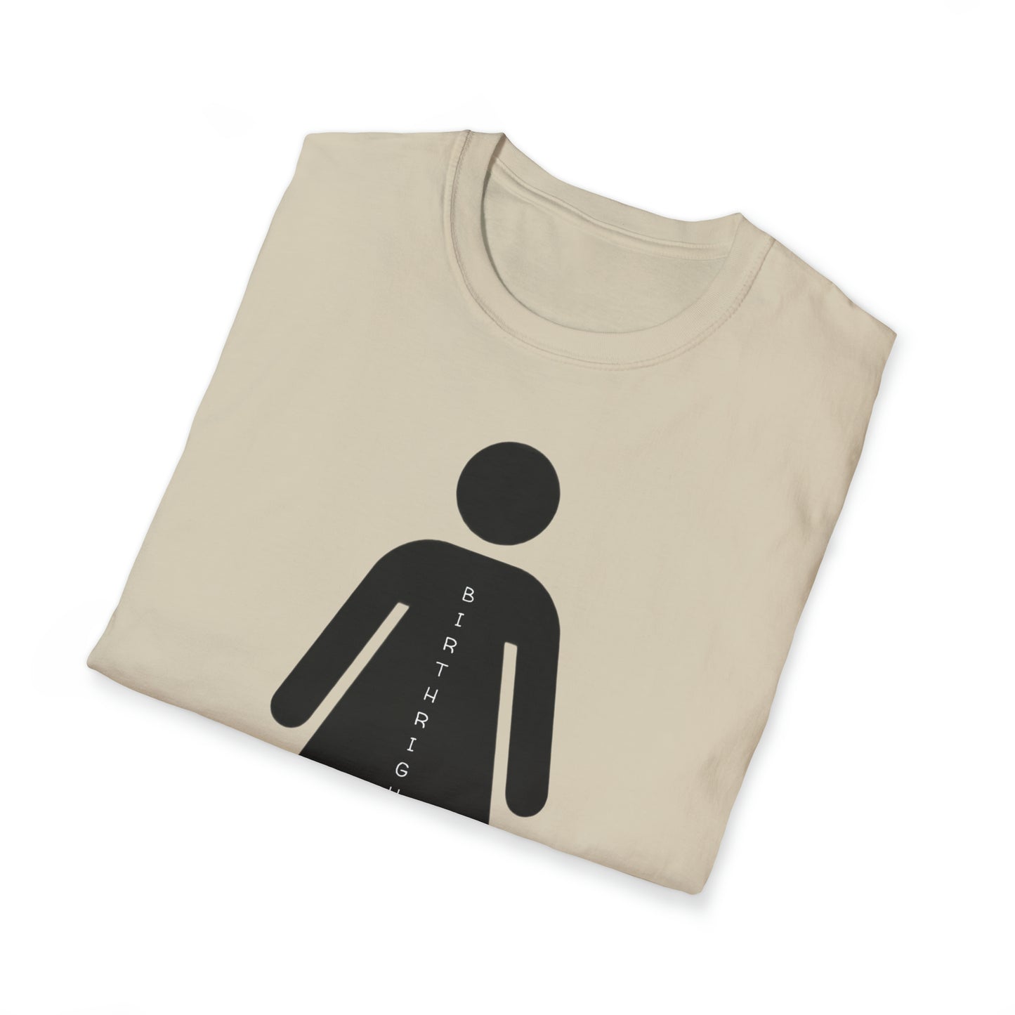 Womanhood is a Birthright/Unisex Softstyle T-Shirt