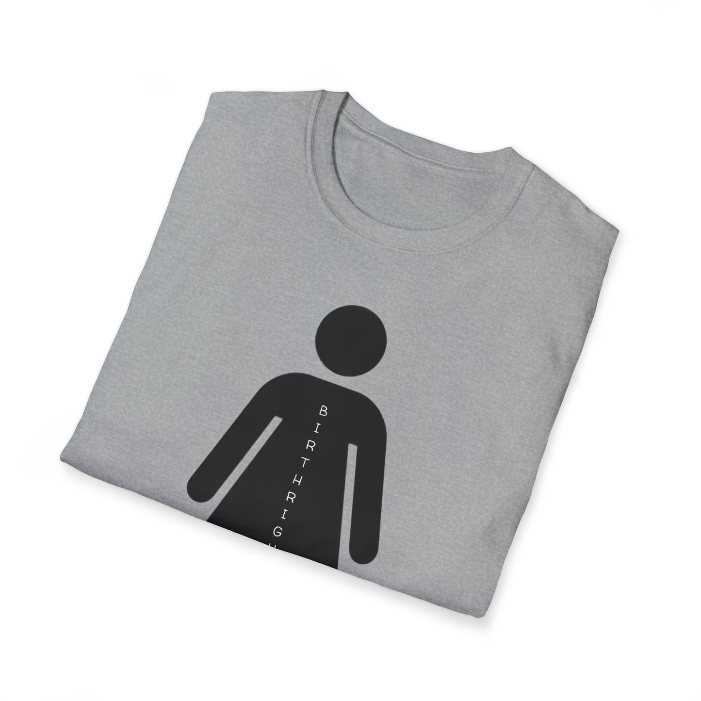 Womanhood is a Birthright/Unisex Softstyle T-Shirt