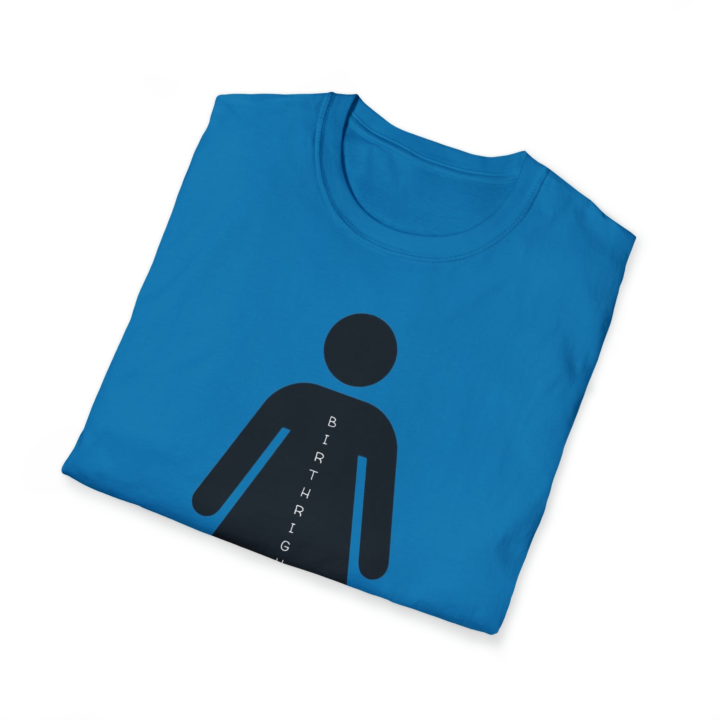 Womanhood is a Birthright/Unisex Softstyle T-Shirt