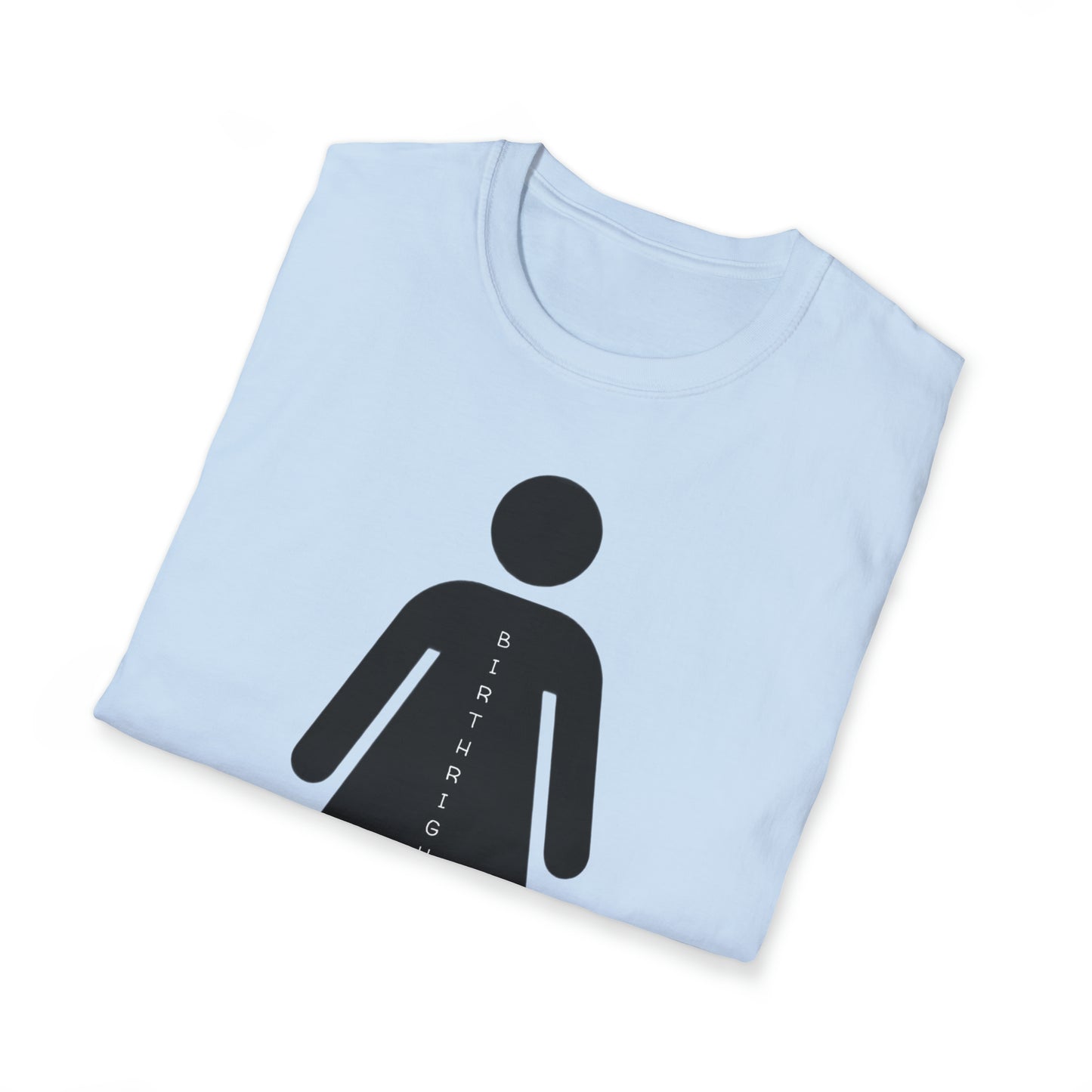 Womanhood is a Birthright/Unisex Softstyle T-Shirt