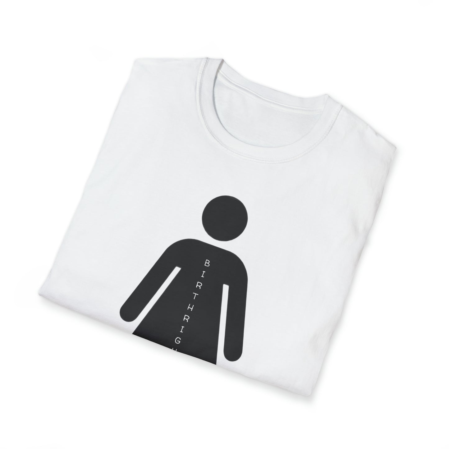 Womanhood is a Birthright/Unisex Softstyle T-Shirt