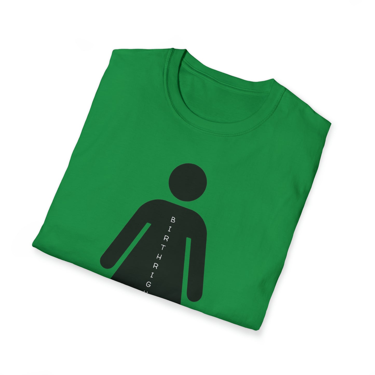 Womanhood is a Birthright/Unisex Softstyle T-Shirt
